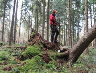 Die Wilddiebe – Drückjagd bei Schwerin
