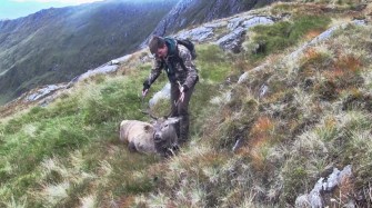Rothirschjagd in Schottland