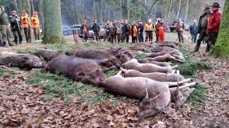 Die Wilddiebe – Drückjagd im Forstgut Reilmann