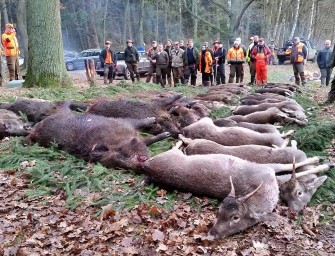 Die Wilddiebe – Drückjagd im Forstgut Reilmann