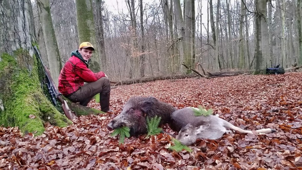 Damtierkalb und Überläufer @Wilddiebe