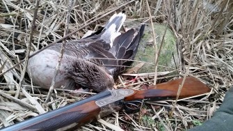 Gänsejagd zwischen den Jahren