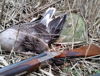 Gänsejagd zwischen den Jahren