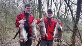 Kaninchenjagd im Rheinland