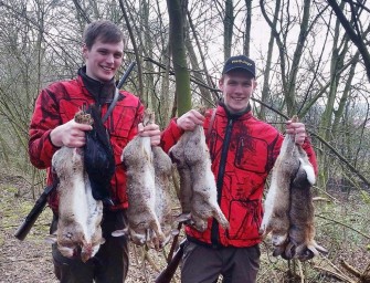 Kaninchenjagd im Rheinland