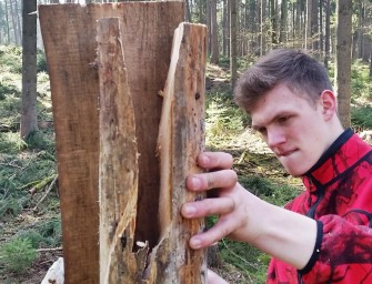 Salzlecken aufstellen