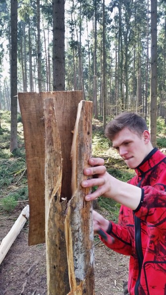 Salzlecken aufstellen