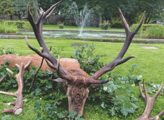 Jagd auf einen kapitalen Hirsch im Traumrevier Berleburg