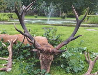 Jagd auf einen kapitalen Hirsch im Traumrevier Berleburg
