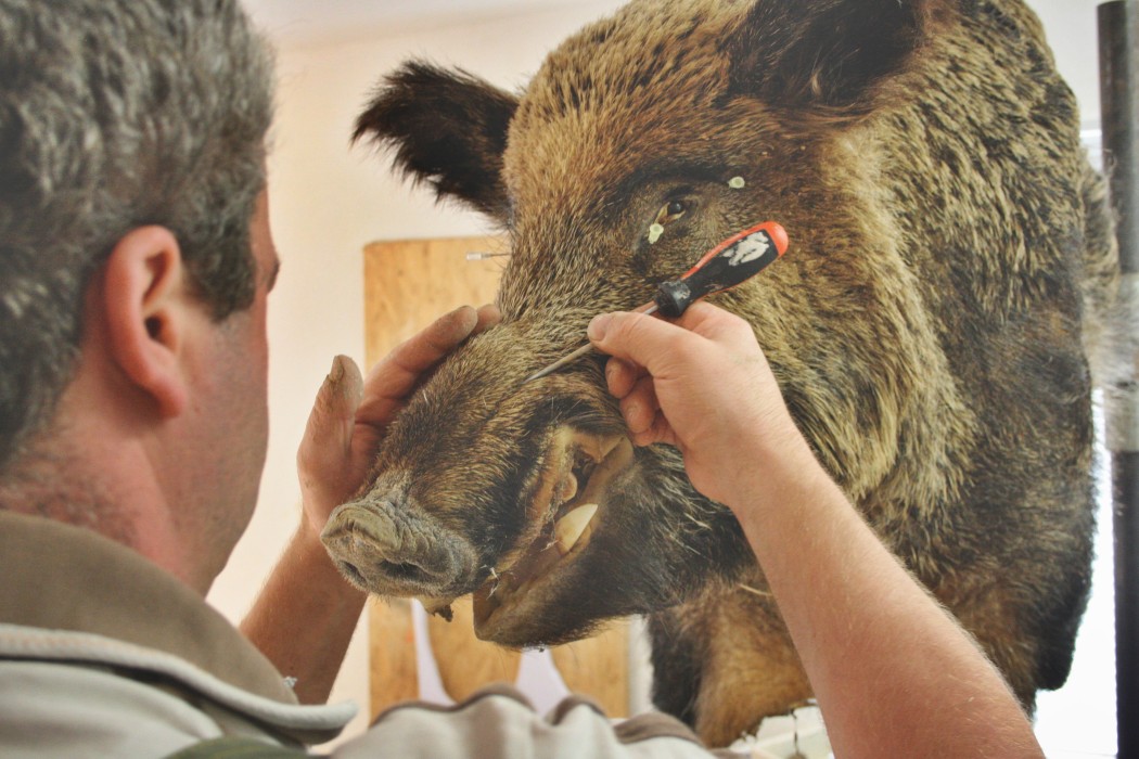 Nachziehen: Ist der Wurf nun fertig bearbeitet und exakt mit dem Rohling verklebt worden, werden am Wurfrücken mithilfe eines Schraubendrehers Vertiefungen gezogen. Kleine Arbeit – große Wirkung.