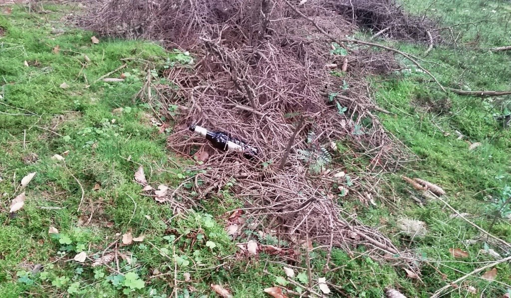 Zerbricht das achtlos weggeschmissene Glas, ist besteht für Mensch und Tier eine Verletzungsgefahr. 