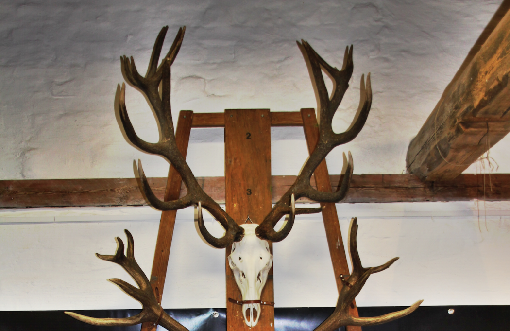 Bildschirmfoto 201Trophäenschau auf Gut Klepelshagen-04-07 um 10.10.46