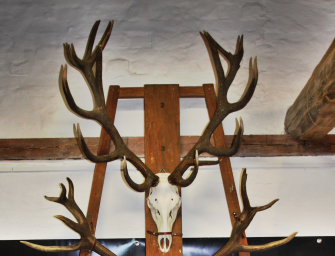 Trophäenschau auf Gut Klepelshagen