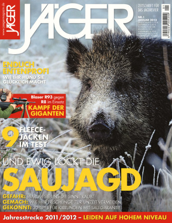 Und ewig lockt die Sauenjagd