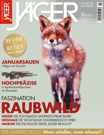 Faszination Raubwild