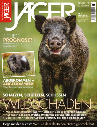 Schätzen, Schützen, Schiessen: Wildschaden