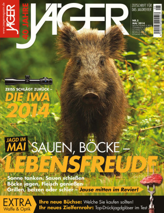 Sauen, Böcke – Lebensfreude