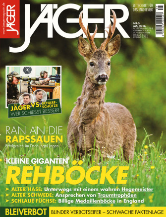 Kleine Giganten: Rehböcke