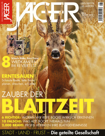 Zauber der Blattzeit