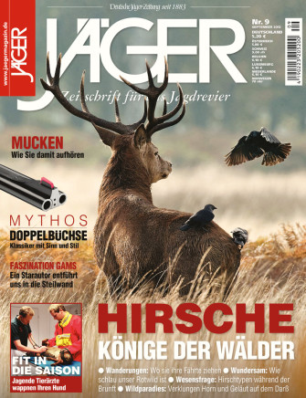 Hirsche: Könige der Wälder