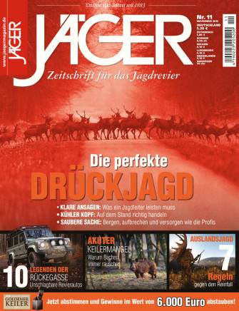 Die perfekte Drückjagd