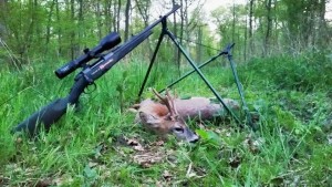 Und auch Gerolds vierter Bock liegt. Der schwache 2-3 jährige Gabler kam passend beim Pirschen im Wald. ©Wilddiebe