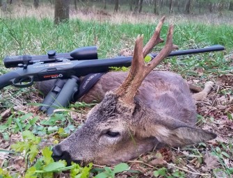 Bockjagd im Mai 2016