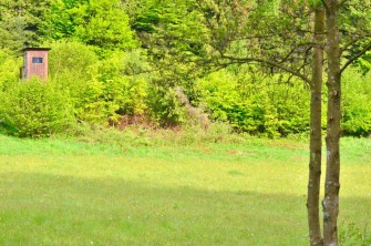 Die schönsten Bilder aus unserem Fotowettbewerb „Reviermotiv“