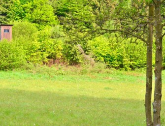 Die schönsten Bilder aus unserem Fotowettbewerb „Reviermotiv“