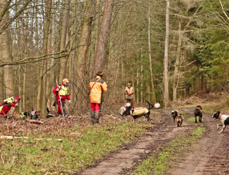 Jagdhunde – Spezialisten für die Jagd im Wald