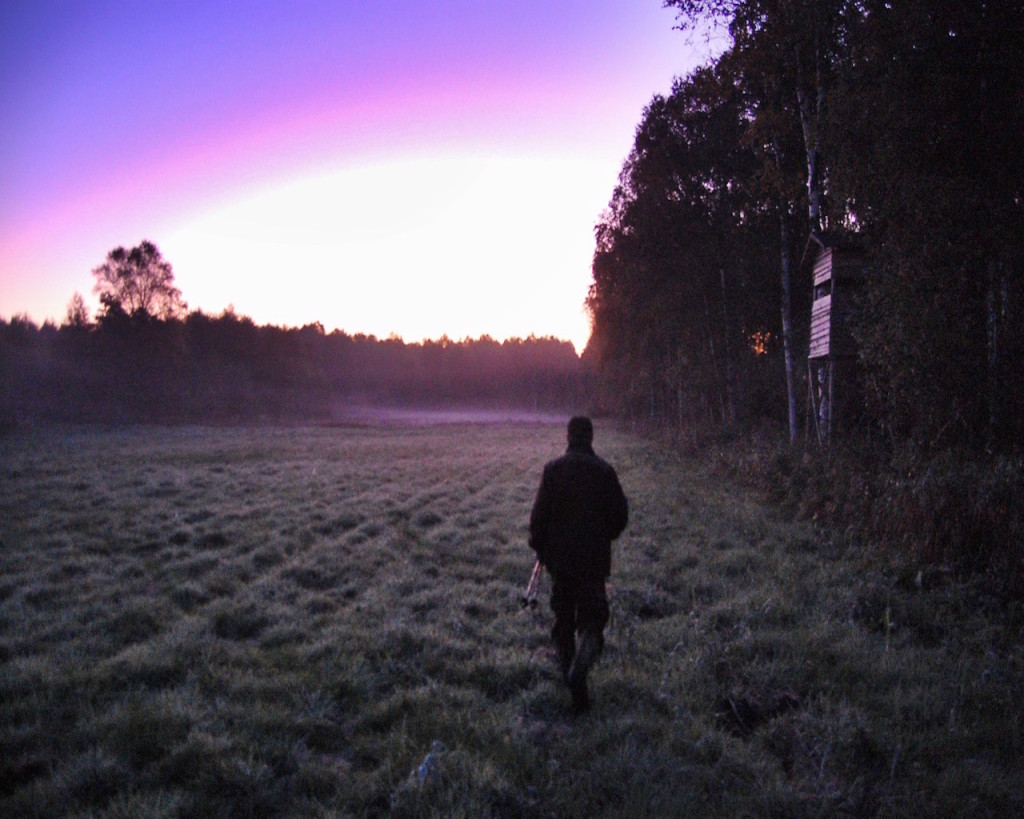 Jagd auf Rothirsche in Polen mit Jagdreisen Schrum