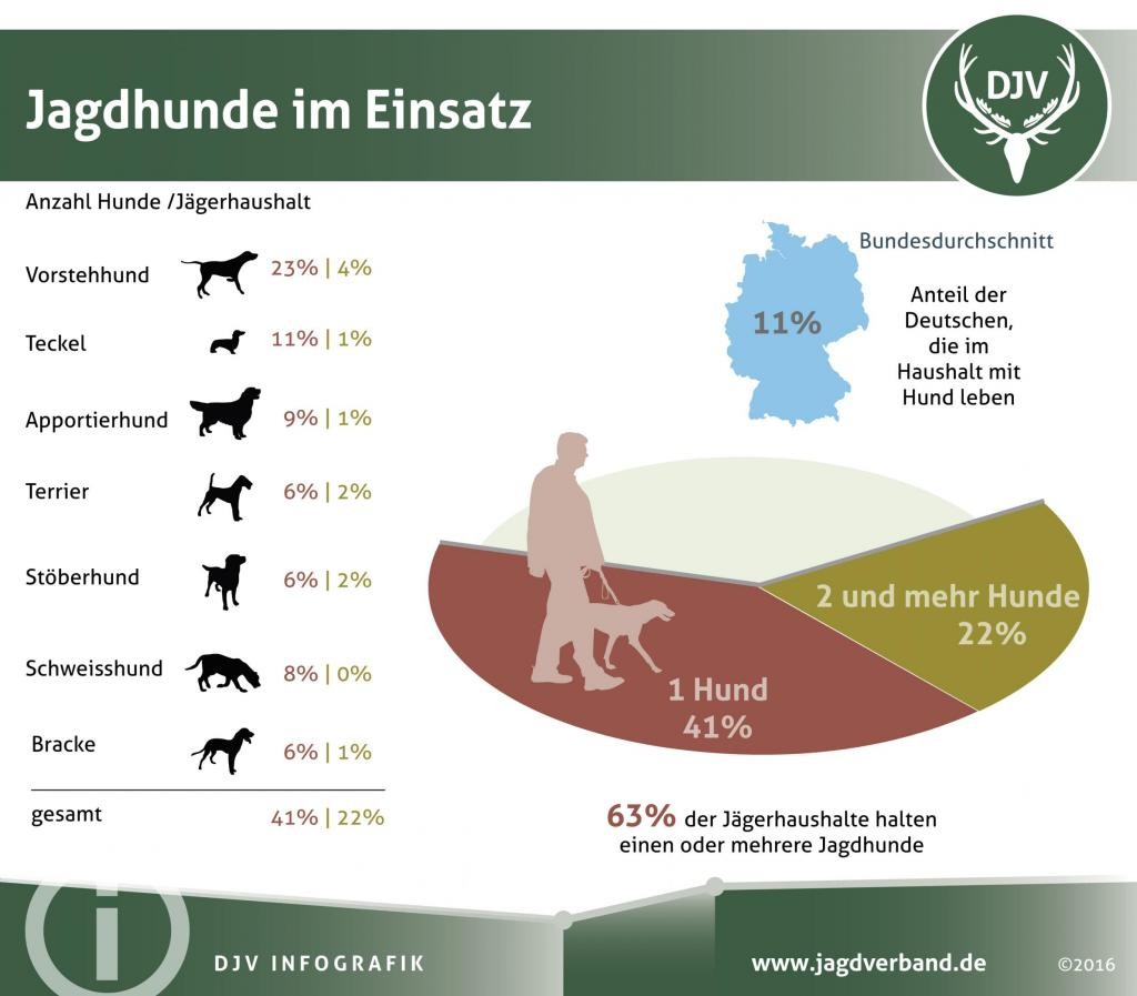 Wie viele Jagdhunde haben Jäger? (Quelle: DJV)