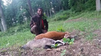 Das erste Stück Damwild – Jungjägerwochende im Forstgut Reilmann