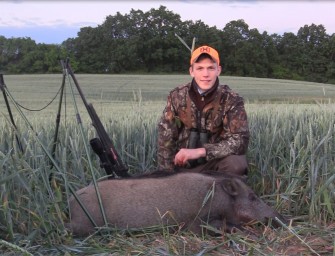 Die Wilddiebe – Weizenschweine 2.0 – Pirsch auf Sauen im Feld