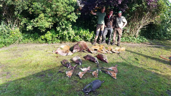 Die Wilddiebe – von der Rapsernte zur Blattzeit