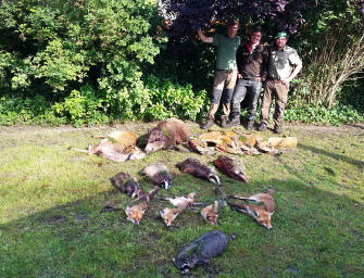 Die Wilddiebe – von der Rapsernte zur Blattzeit