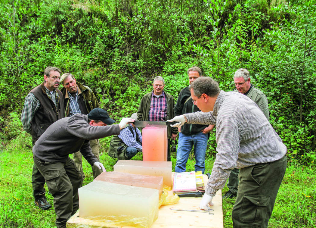 Aufmacher 3 Bild 04_IMG_1565 Kopie jaegermagazin jagd bleifreie munition kaliber beschuss buechse