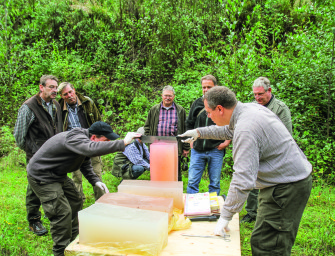Bleifreie Munition im großen Ballistik-Test