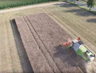 Drohnen bei der Ernte – Wildschaden erkennen und Sauen aufspüren