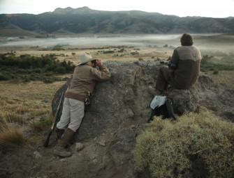 Jagd zur Hirschbrunft in Argentinien