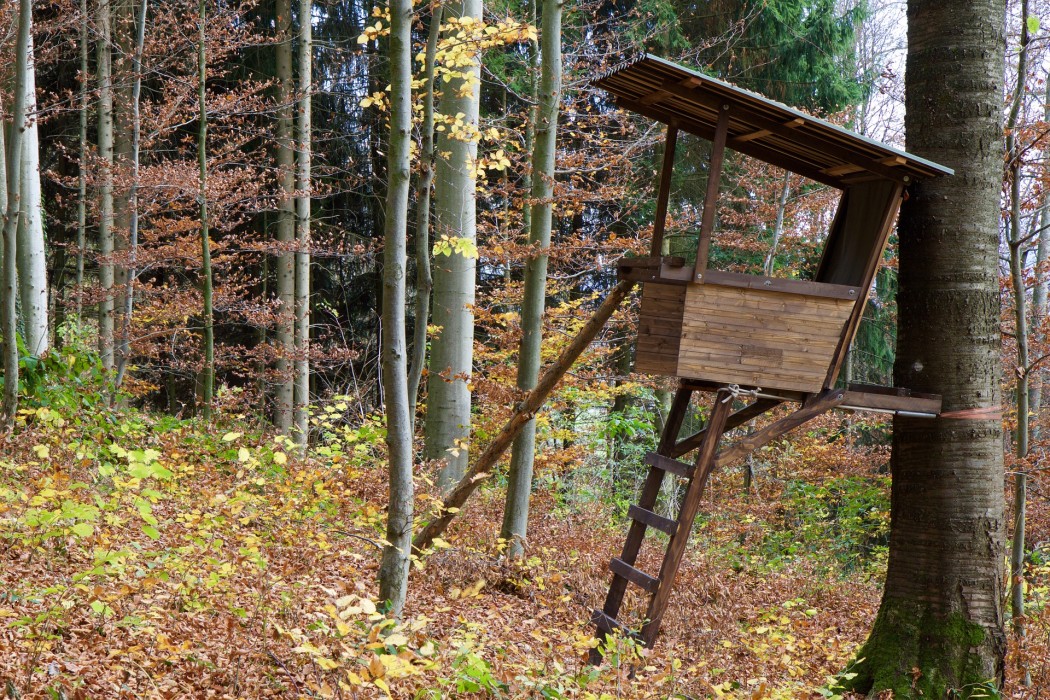 landscape-1035561_1920 jaegermagazin hochsitz pixabay ansitz hochstand