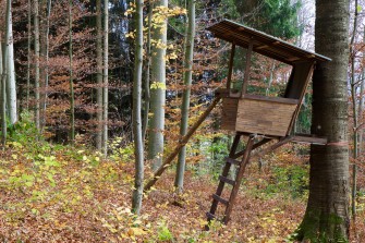 Ansitz Fotowettbewerb – Wir suchen die verrückteste Sauen-Kanzel