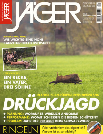 Drückjagd