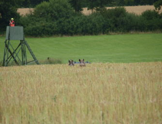 NRW – Ministerium zahlt Teil der Trichinenschau