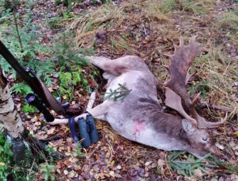 Die Wilddiebe – Eine ganz besondere Damwildbrunft