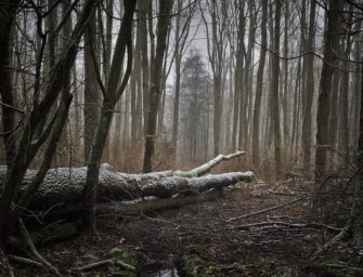 Ansitz im Winter – Wie man der Kälte trotzt