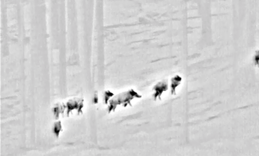 Bildschirmfoto 2016-11-02 um 15.34.54 Jagd jagen jäger jaegermagazin Wärmebildgerät Nitehog IR-M35