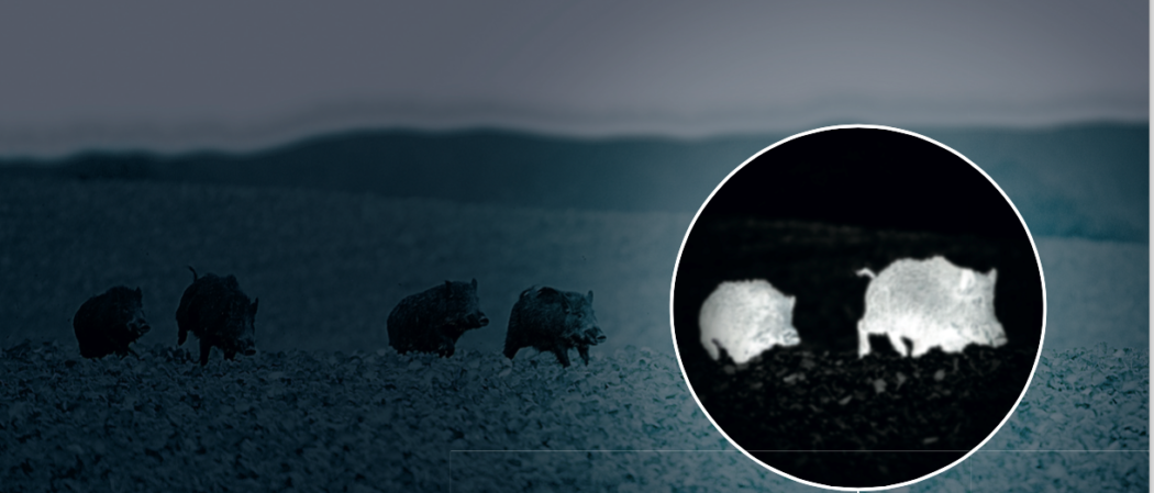 Bildschirmfoto 2016-11-03 um 11.15.33