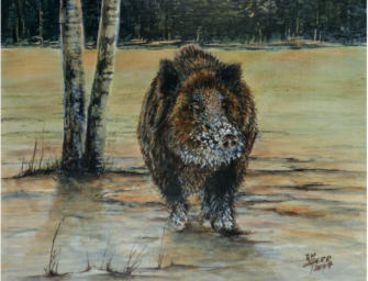 JÄGER Kalender 2017