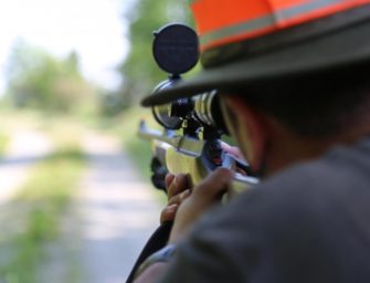 Grüne fordern Verschärfung des Waffengesetzes – LJV lehnt ab